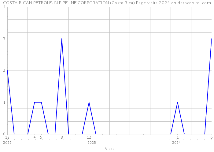 COSTA RICAN PETROLEUN PIPELINE CORPORATION (Costa Rica) Page visits 2024 
