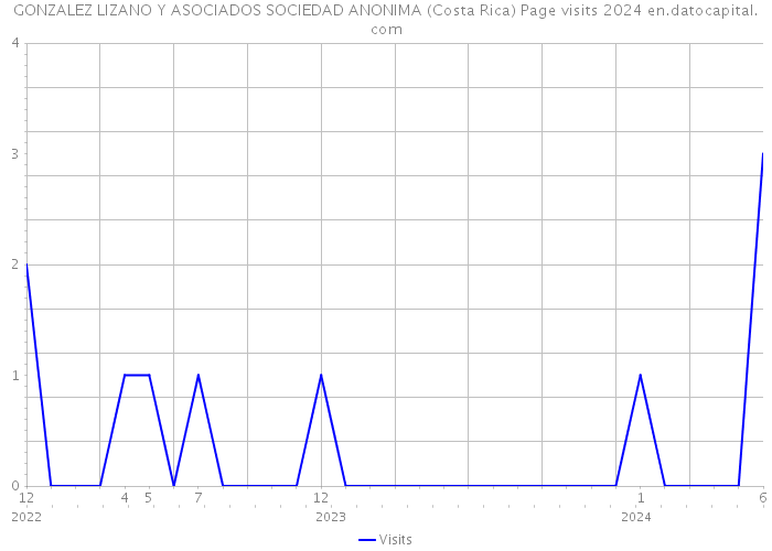 GONZALEZ LIZANO Y ASOCIADOS SOCIEDAD ANONIMA (Costa Rica) Page visits 2024 