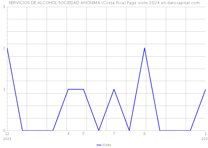 SERVICIOS DE ALCOHOL SOCIEDAD ANONIMA (Costa Rica) Page visits 2024 