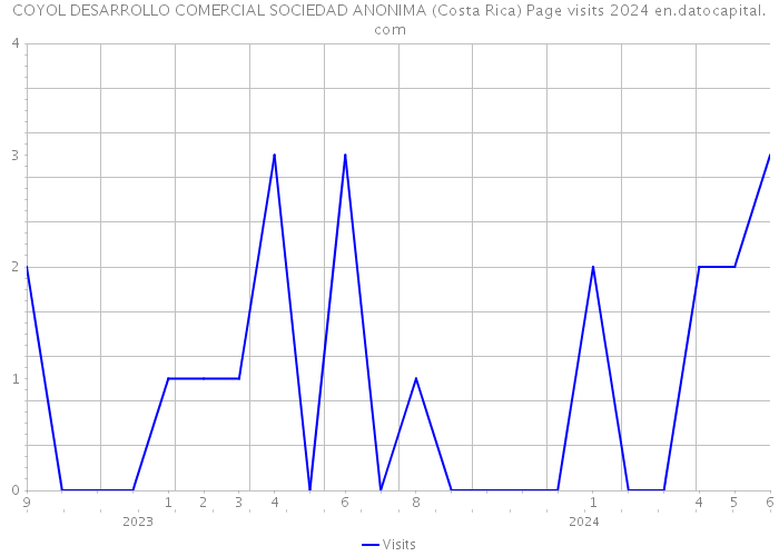 COYOL DESARROLLO COMERCIAL SOCIEDAD ANONIMA (Costa Rica) Page visits 2024 
