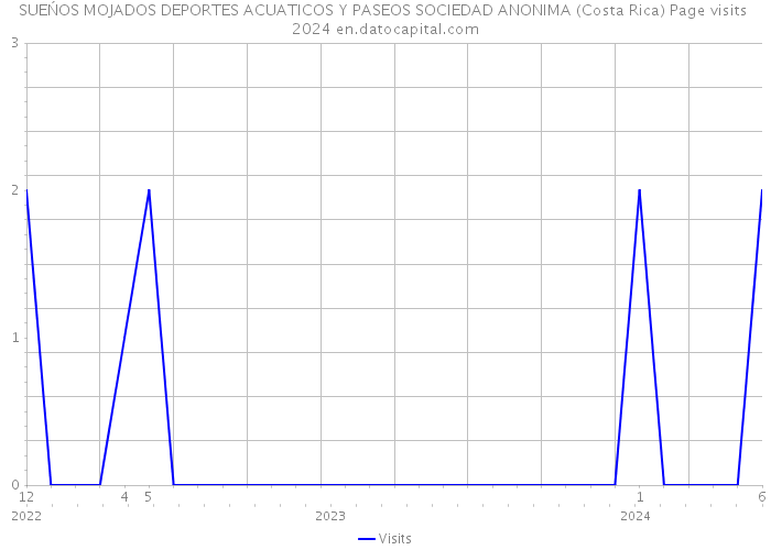 SUEŃOS MOJADOS DEPORTES ACUATICOS Y PASEOS SOCIEDAD ANONIMA (Costa Rica) Page visits 2024 