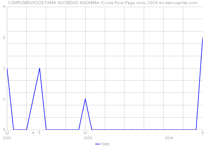 COMPUSERVICIOS FAMA SOCIEDAD ANONIMA (Costa Rica) Page visits 2024 