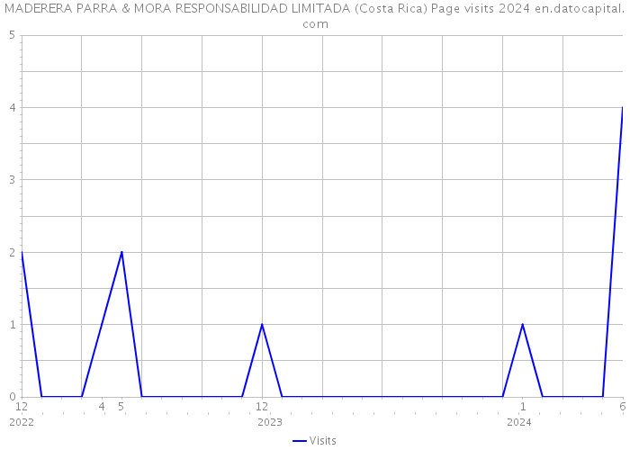 MADERERA PARRA & MORA RESPONSABILIDAD LIMITADA (Costa Rica) Page visits 2024 