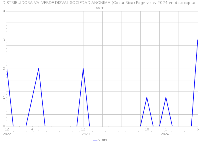 DISTRIBUIDORA VALVERDE DISVAL SOCIEDAD ANONIMA (Costa Rica) Page visits 2024 