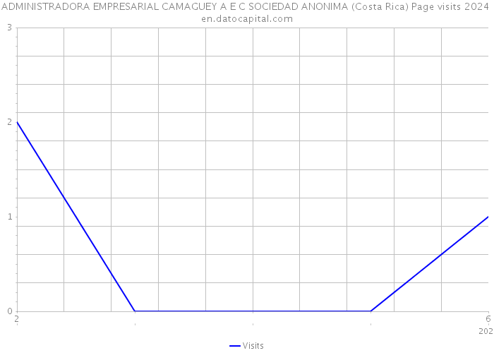 ADMINISTRADORA EMPRESARIAL CAMAGUEY A E C SOCIEDAD ANONIMA (Costa Rica) Page visits 2024 