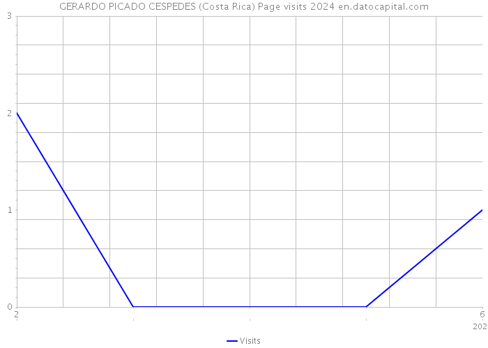 GERARDO PICADO CESPEDES (Costa Rica) Page visits 2024 