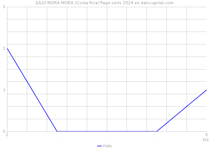 JULIO MORA MORA (Costa Rica) Page visits 2024 