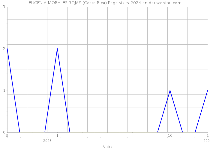 EUGENIA MORALES ROJAS (Costa Rica) Page visits 2024 