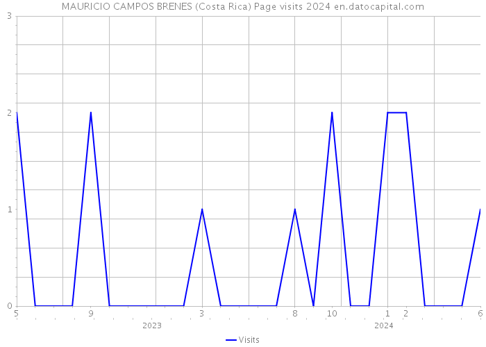 MAURICIO CAMPOS BRENES (Costa Rica) Page visits 2024 