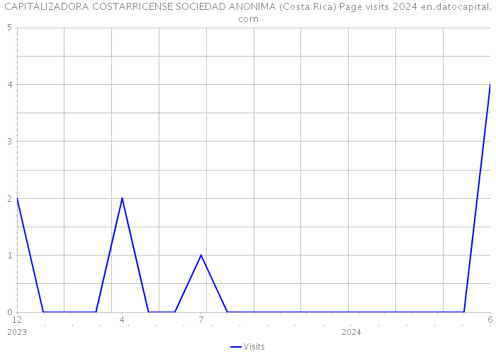 CAPITALIZADORA COSTARRICENSE SOCIEDAD ANONIMA (Costa Rica) Page visits 2024 