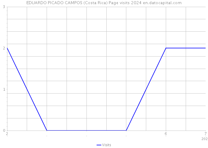 EDUARDO PICADO CAMPOS (Costa Rica) Page visits 2024 