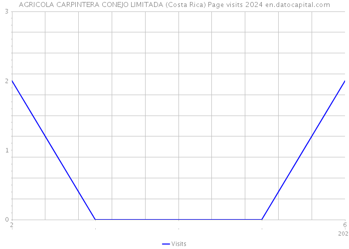 AGRICOLA CARPINTERA CONEJO LIMITADA (Costa Rica) Page visits 2024 