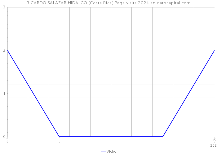 RICARDO SALAZAR HIDALGO (Costa Rica) Page visits 2024 