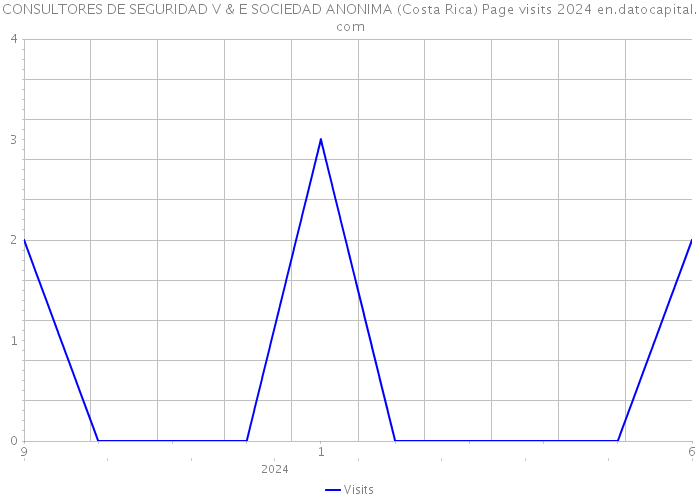 CONSULTORES DE SEGURIDAD V & E SOCIEDAD ANONIMA (Costa Rica) Page visits 2024 