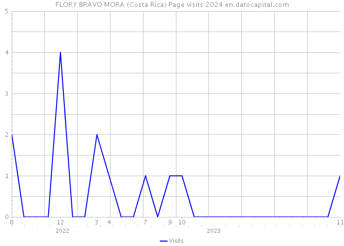 FLORY BRAVO MORA (Costa Rica) Page visits 2024 