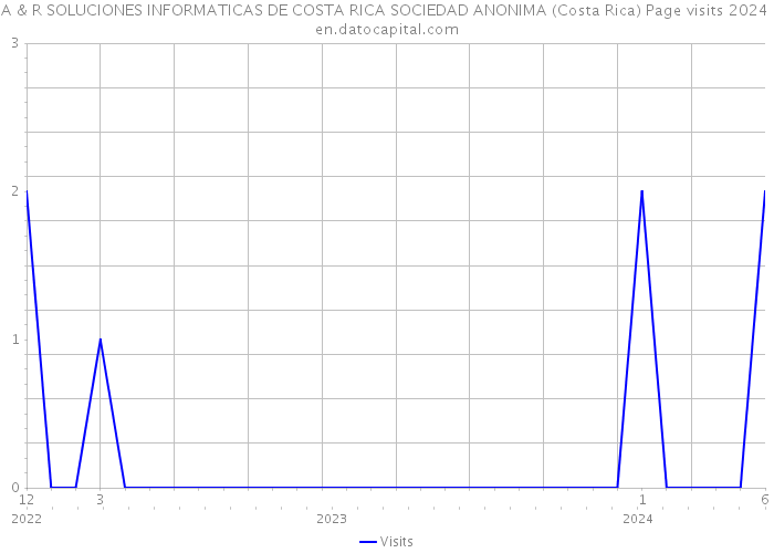 A & R SOLUCIONES INFORMATICAS DE COSTA RICA SOCIEDAD ANONIMA (Costa Rica) Page visits 2024 