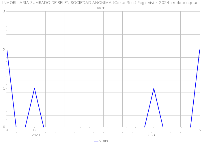 INMOBILIARIA ZUMBADO DE BELEN SOCIEDAD ANONIMA (Costa Rica) Page visits 2024 