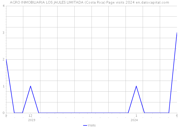 AGRO INMOBILIARIA LOS JAULES LIMITADA (Costa Rica) Page visits 2024 