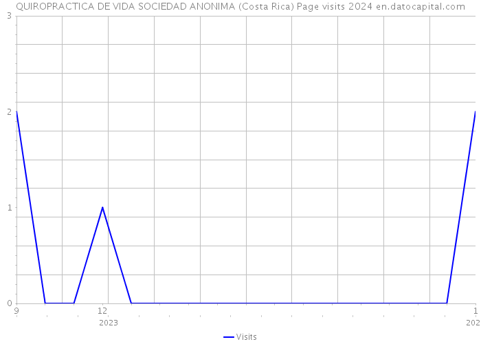 QUIROPRACTICA DE VIDA SOCIEDAD ANONIMA (Costa Rica) Page visits 2024 