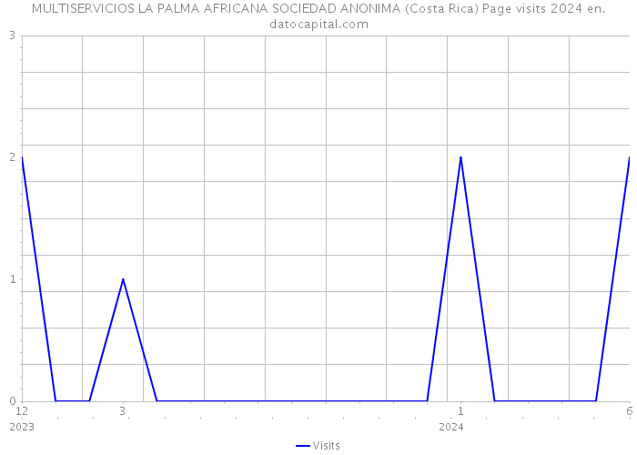 MULTISERVICIOS LA PALMA AFRICANA SOCIEDAD ANONIMA (Costa Rica) Page visits 2024 