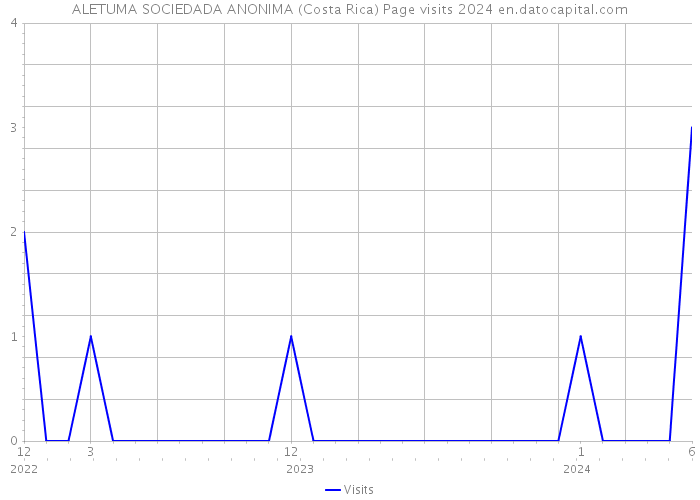 ALETUMA SOCIEDADA ANONIMA (Costa Rica) Page visits 2024 