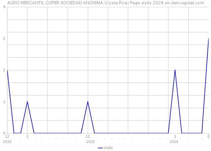 AGRO MERCANTIL GOFER SOCIEDAD ANONIMA (Costa Rica) Page visits 2024 
