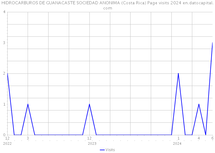 HIDROCARBUROS DE GUANACASTE SOCIEDAD ANONIMA (Costa Rica) Page visits 2024 