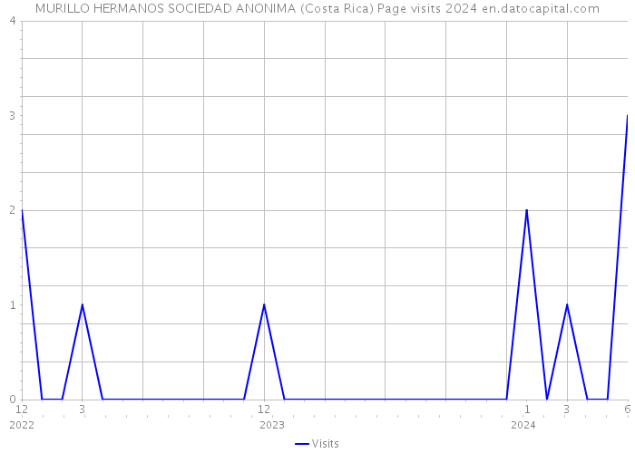 MURILLO HERMANOS SOCIEDAD ANONIMA (Costa Rica) Page visits 2024 