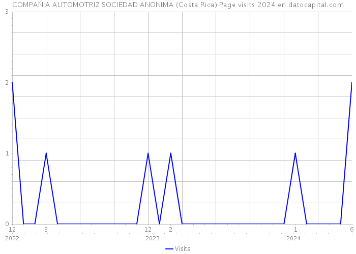 COMPAŃIA AUTOMOTRIZ SOCIEDAD ANONIMA (Costa Rica) Page visits 2024 