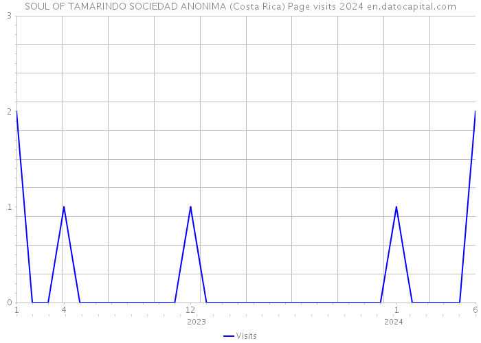 SOUL OF TAMARINDO SOCIEDAD ANONIMA (Costa Rica) Page visits 2024 