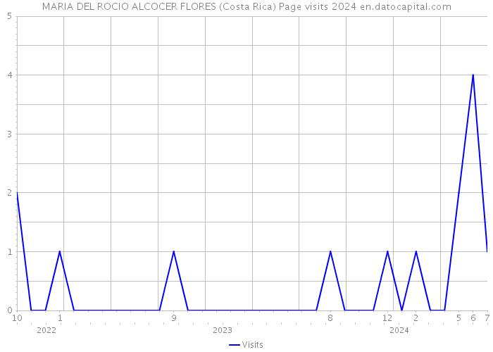 MARIA DEL ROCIO ALCOCER FLORES (Costa Rica) Page visits 2024 