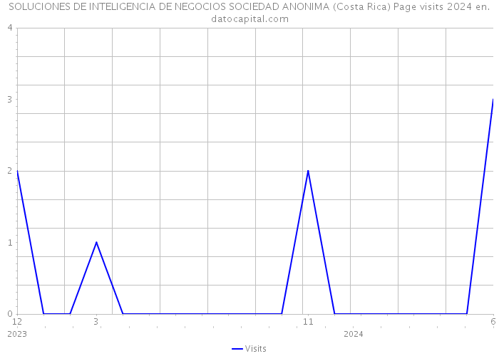 SOLUCIONES DE INTELIGENCIA DE NEGOCIOS SOCIEDAD ANONIMA (Costa Rica) Page visits 2024 