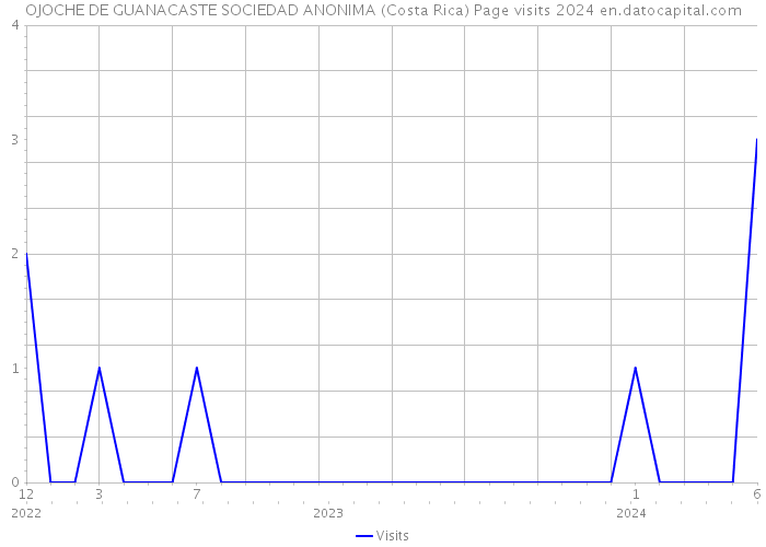 OJOCHE DE GUANACASTE SOCIEDAD ANONIMA (Costa Rica) Page visits 2024 