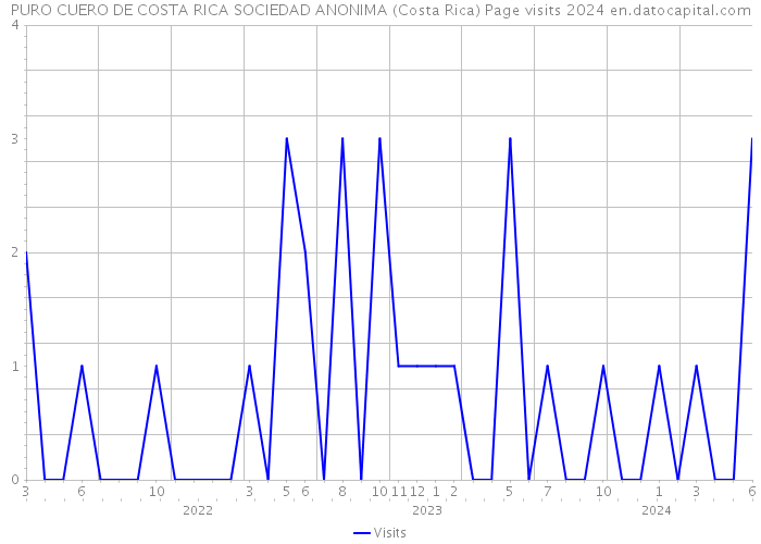 PURO CUERO DE COSTA RICA SOCIEDAD ANONIMA (Costa Rica) Page visits 2024 