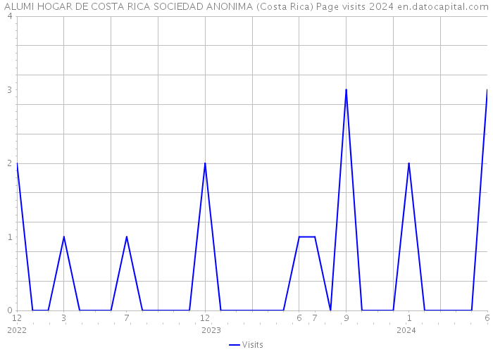 ALUMI HOGAR DE COSTA RICA SOCIEDAD ANONIMA (Costa Rica) Page visits 2024 