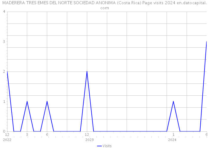 MADERERA TRES EMES DEL NORTE SOCIEDAD ANONIMA (Costa Rica) Page visits 2024 
