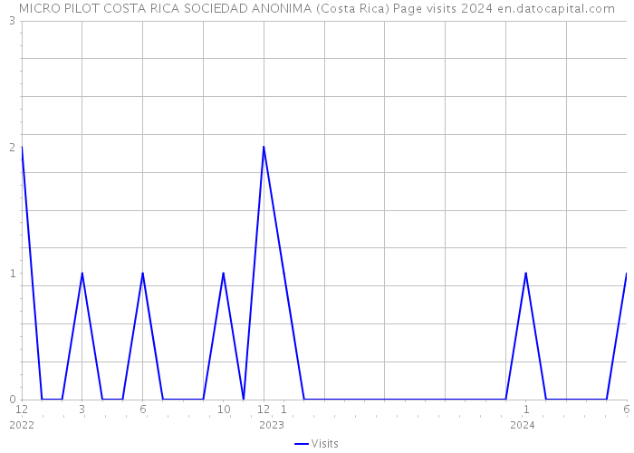 MICRO PILOT COSTA RICA SOCIEDAD ANONIMA (Costa Rica) Page visits 2024 