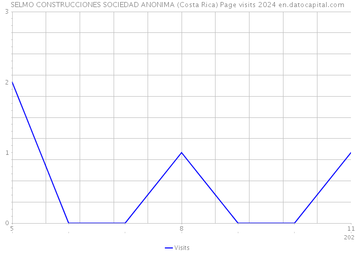 SELMO CONSTRUCCIONES SOCIEDAD ANONIMA (Costa Rica) Page visits 2024 
