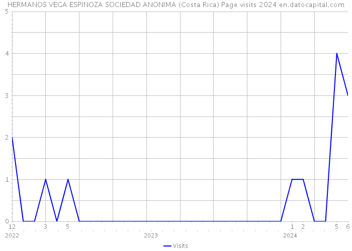 HERMANOS VEGA ESPINOZA SOCIEDAD ANONIMA (Costa Rica) Page visits 2024 