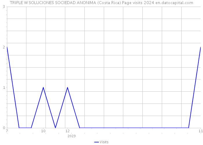 TRIPLE W SOLUCIONES SOCIEDAD ANONIMA (Costa Rica) Page visits 2024 