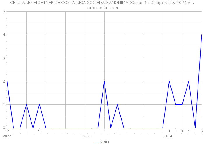 CELULARES FICHTNER DE COSTA RICA SOCIEDAD ANONIMA (Costa Rica) Page visits 2024 