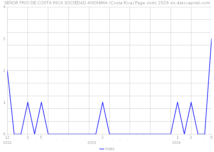 SEŃOR FRIO DE COSTA RICA SOCIEDAD ANONIMA (Costa Rica) Page visits 2024 