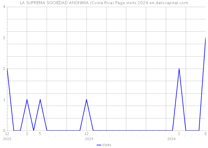 LA SUPREMA SOCIEDAD ANONIMA (Costa Rica) Page visits 2024 