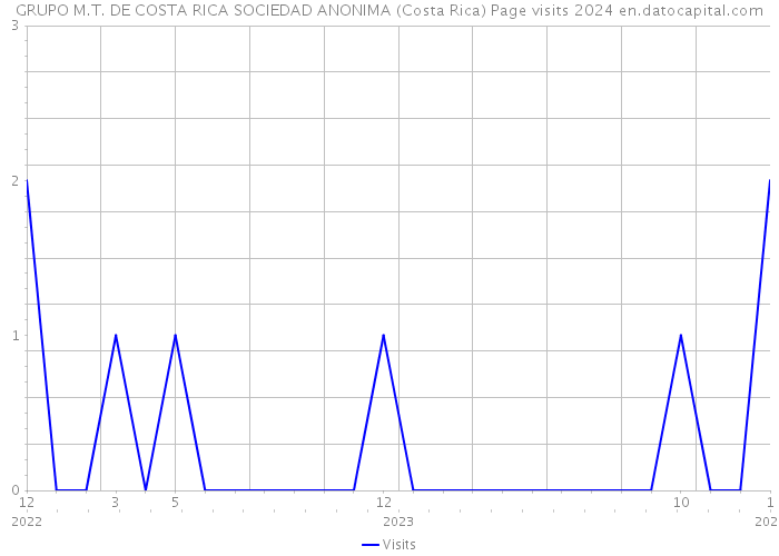 GRUPO M.T. DE COSTA RICA SOCIEDAD ANONIMA (Costa Rica) Page visits 2024 