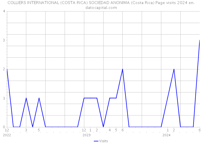 COLLIERS INTERNATIONAL (COSTA RICA) SOCIEDAD ANONIMA (Costa Rica) Page visits 2024 
