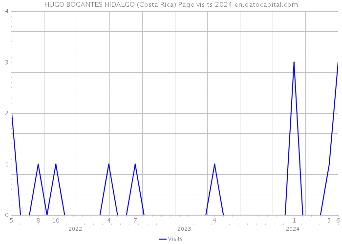 HUGO BOGANTES HIDALGO (Costa Rica) Page visits 2024 