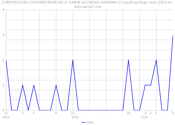 CORPORACION COSTARRICENSE DE LA CARNE SOCIEDAD ANONIMA (Costa Rica) Page visits 2024 