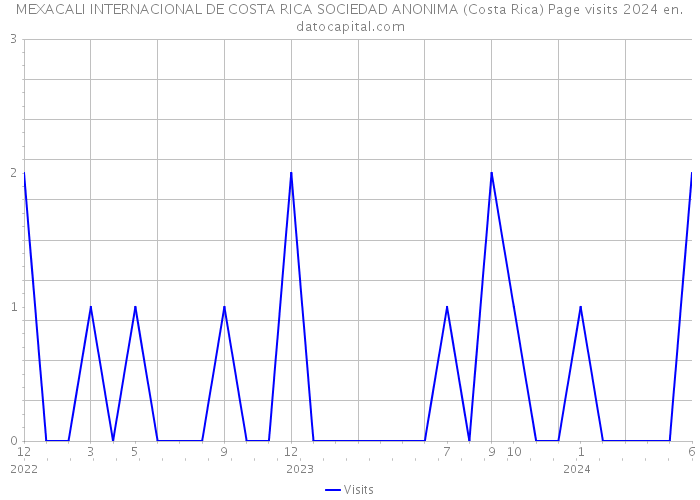 MEXACALI INTERNACIONAL DE COSTA RICA SOCIEDAD ANONIMA (Costa Rica) Page visits 2024 