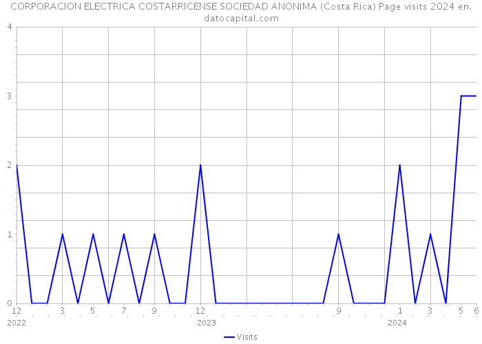 CORPORACION ELECTRICA COSTARRICENSE SOCIEDAD ANONIMA (Costa Rica) Page visits 2024 