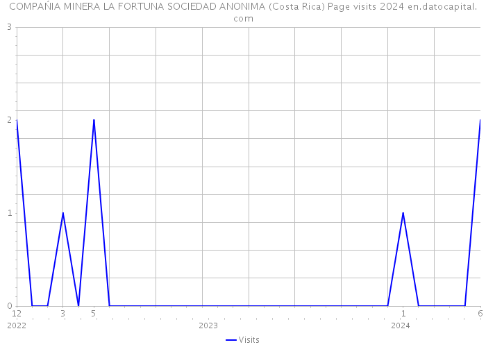 COMPAŃIA MINERA LA FORTUNA SOCIEDAD ANONIMA (Costa Rica) Page visits 2024 